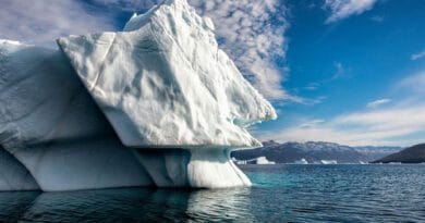 Tema Zilei Mondiale a Apei 2025 – „Conservarea ghețarilor” cu #apecurateasumate