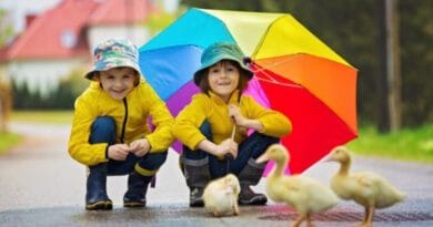 METEO-emoţii! E cer senin şi soare la #apecurateasumate