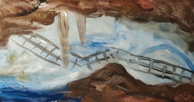 TOP 3 cȃstigători Desen Stȃngaci, inspirat de „Gețarii, sursa apelor curate asumate”