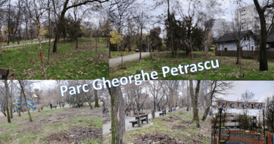 Solidaritatea dintre om şi natură se transformă ȋn responsabilitate la “Focus to green eco life”