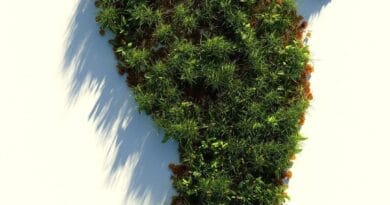 Mediul recicreativ ȋntărește legătura dintre oameni și natură, la #focustogreenecolife