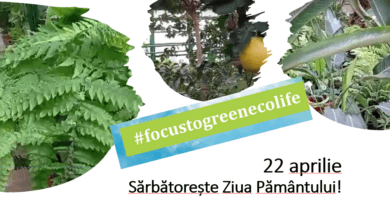 Deschiși spre a cunoaște și a proteja Pământul și resursele sale de apa. “Focus to green eco life” de Ziua Pământului