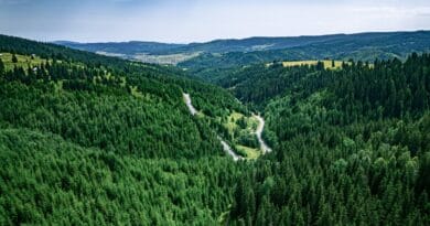 Acționând local pentru un impact global. Diversitatea Biologică și rolul apei la #focustogreenecolife