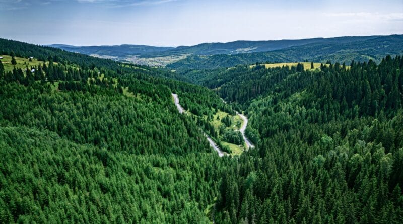 Acționând local pentru un impact global. Diversitatea Biologică și rolul apei la #focustogreenecolife