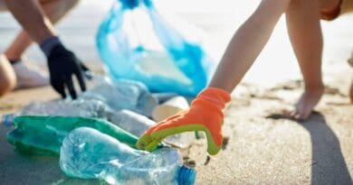 Elevii sărbătoresc Ziua Mondială a Oceanelor prin proiectul „Ape curate asumate” Elevii sărbătoresc Ziua Mondială a Oceanelor prin proiectul „Ape curate asumate”